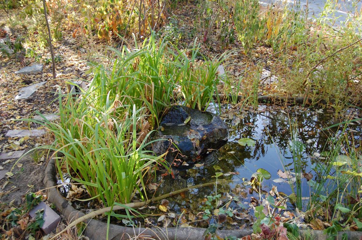 Water feature for the garden