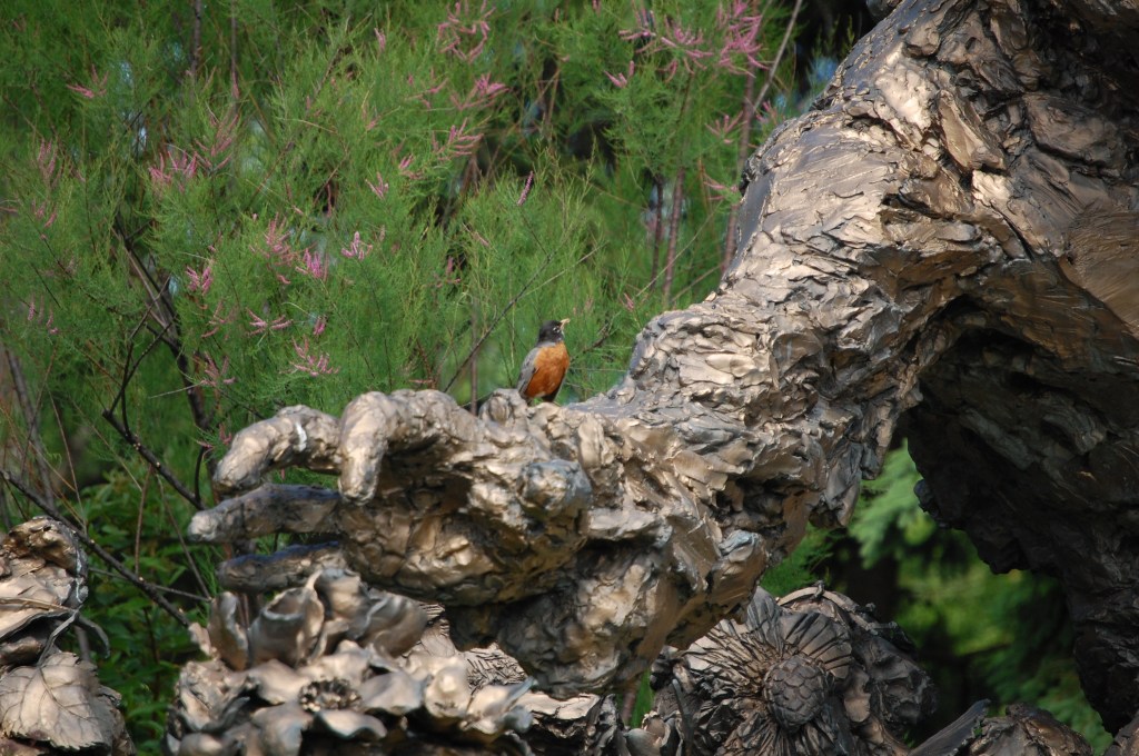 Robin: "You think you can support a family studying flowers?"