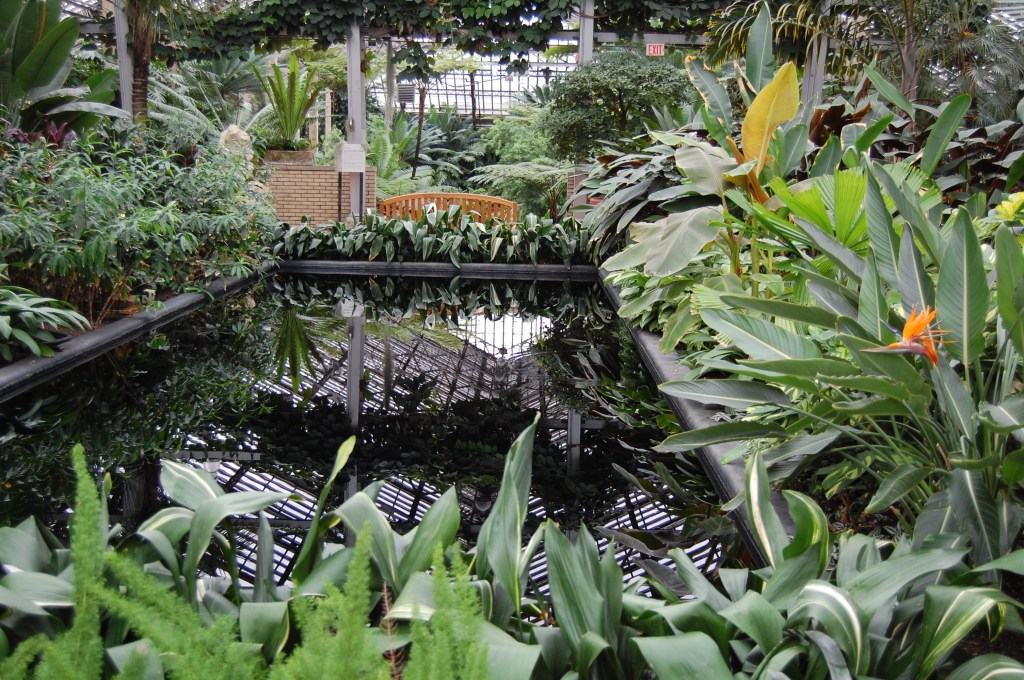 Garfield Park Conservatory