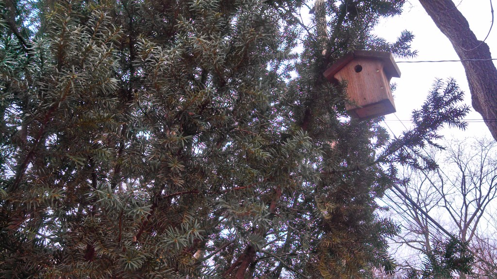 Birdhouse