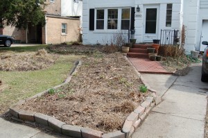 Garden spring clean up