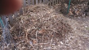 garden spring clean up