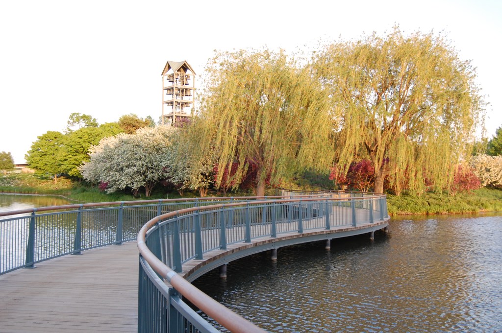 Chicago Botanic Garden, Crabapple blossoms, Evening Island