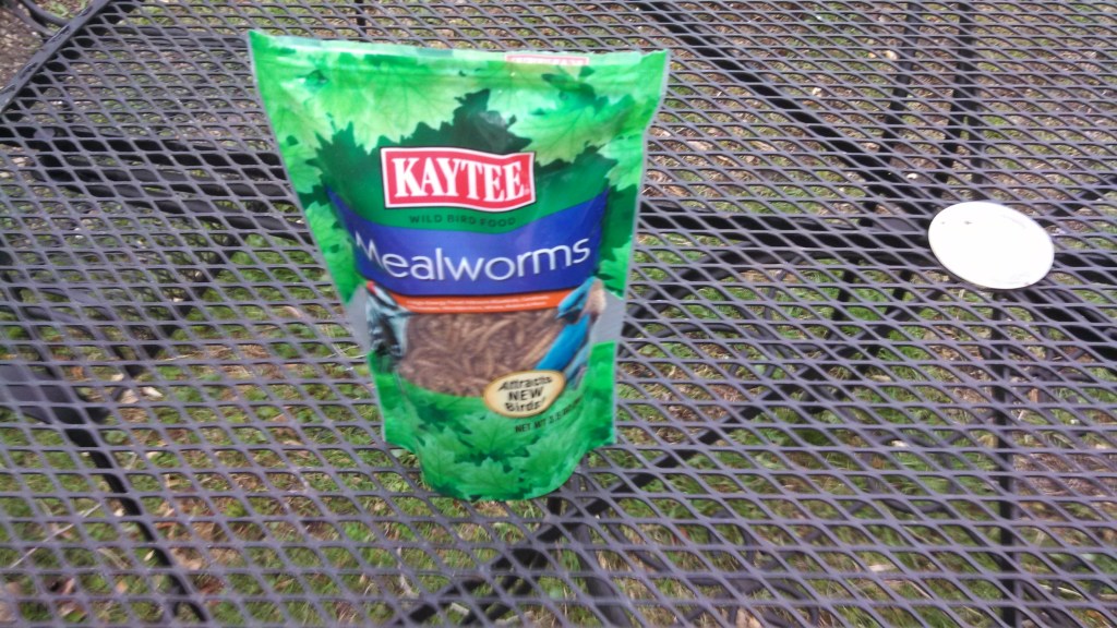 Freeze dried mealworms