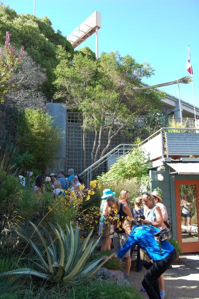 Gil Sculpture Garden