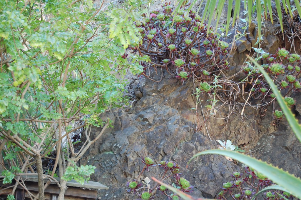 Gil Sculpture Garden