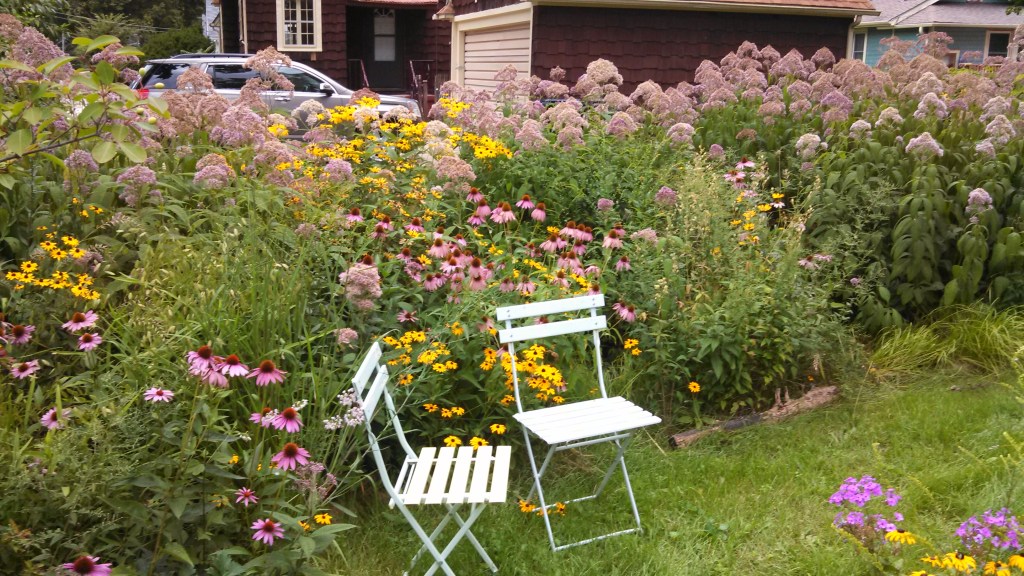 Prairie Plant Screen