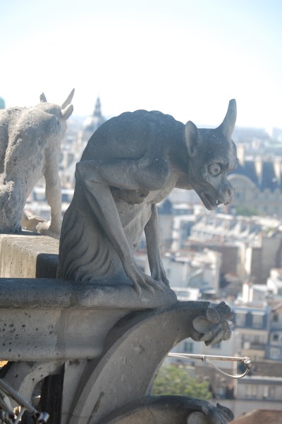 Notre Dame, Gargoyle