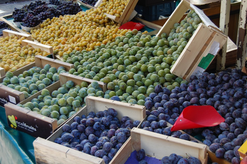 Mirabelle plums are the yellow ones on the upper left.
