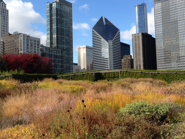 Lurie Garden