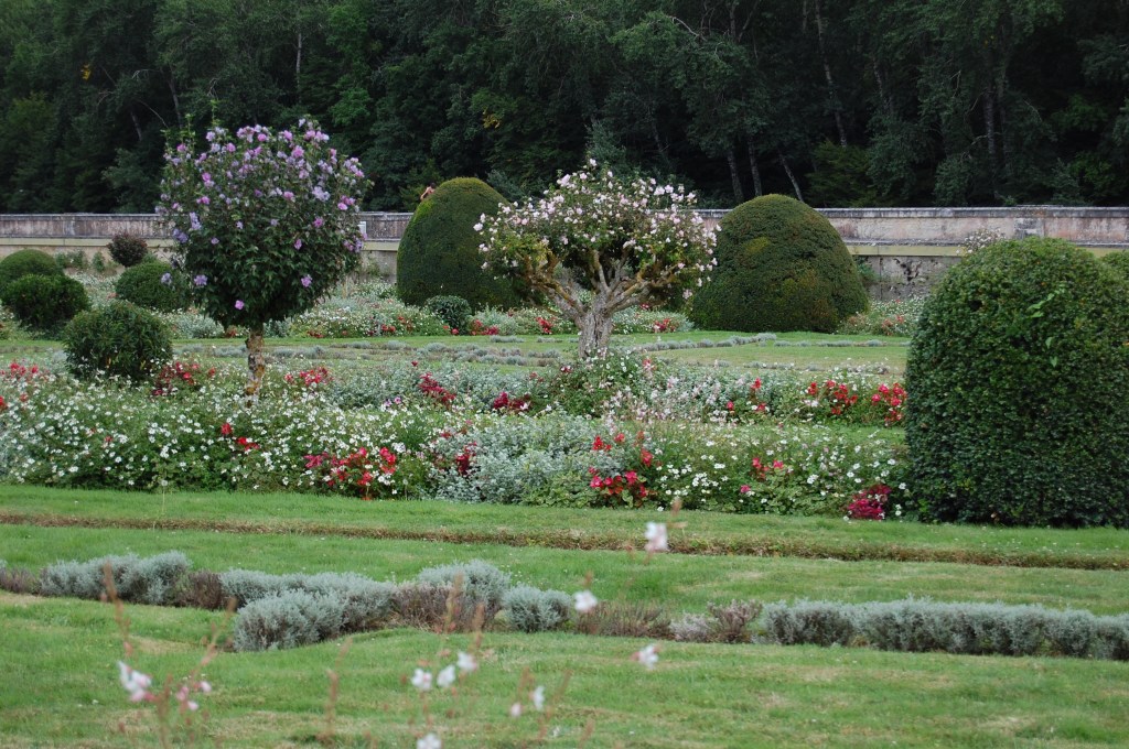 Hibiscus standards at Chenonceau