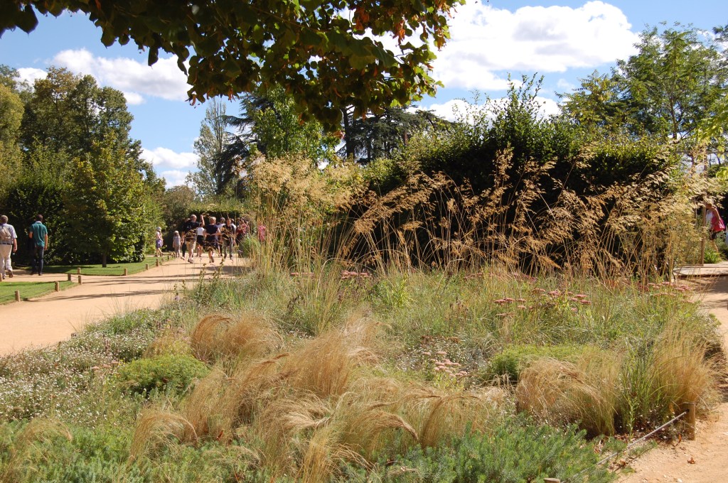 Landscaping between the display gardens.