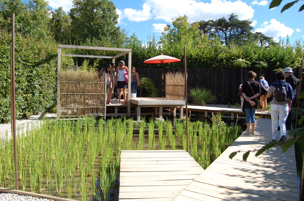 festival des jardins rice patty