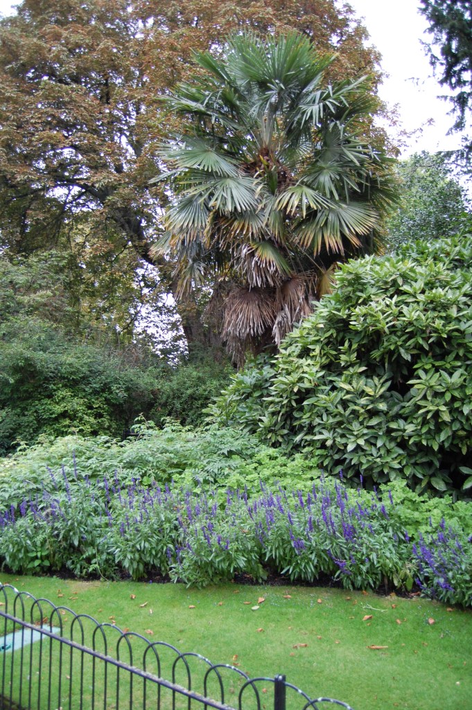 Palm trees in London? Don't tell me they take these inside for the winter.