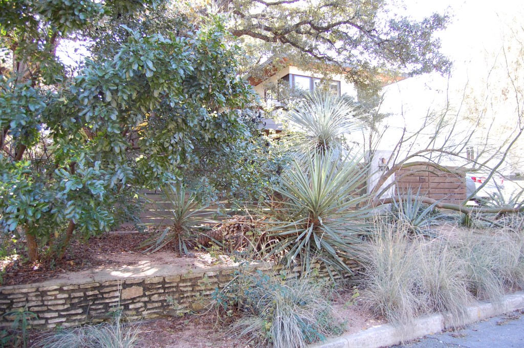 Austin front yard