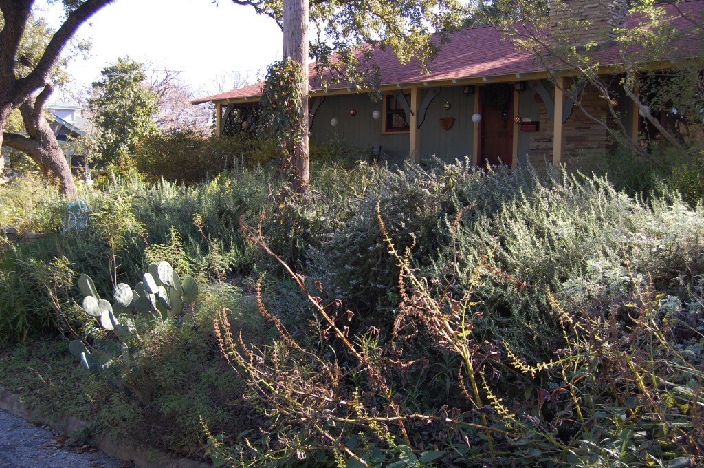 Austin front yard