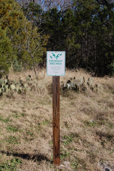 Where do the unimportant birds go?