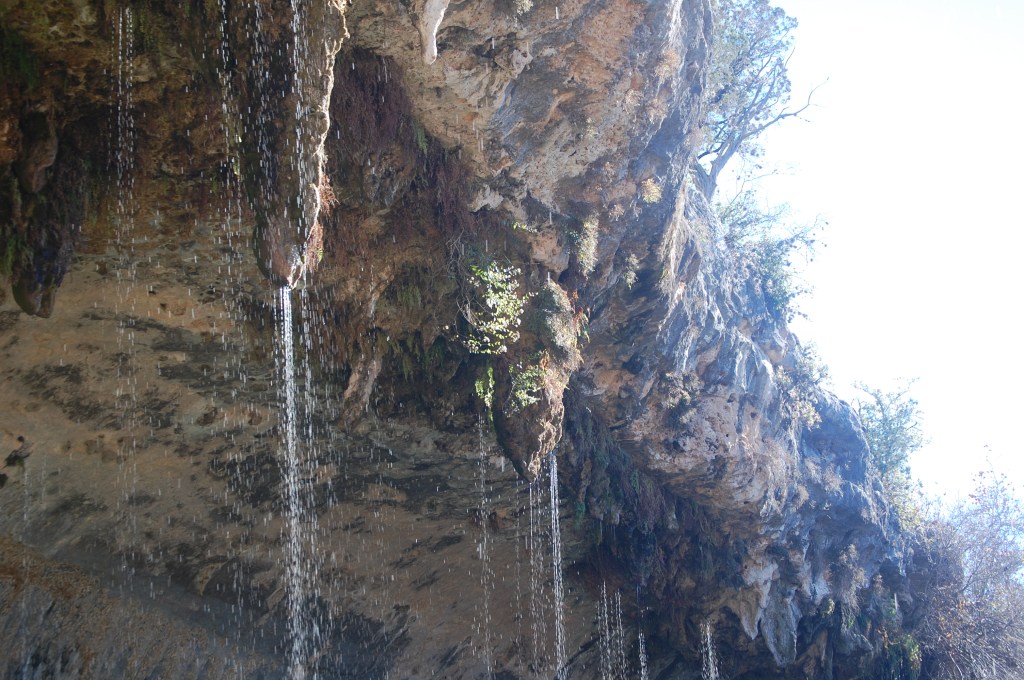 Hamilton Pool stalactites