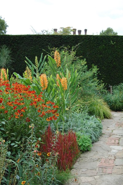 2013-09-12 10.16.29 Sissinghurst