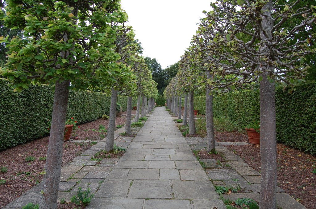 Sissinghurst Lime Walk