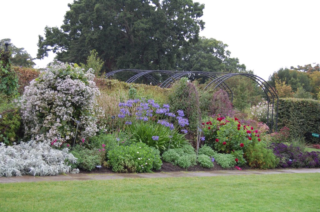 2013-09-13 07.39.33 mixed border rhs wisley