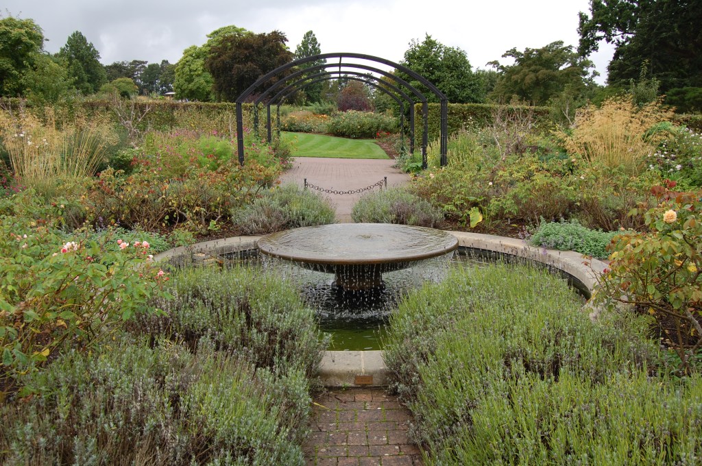 2013-09-13 08.01.41 rhs wisley