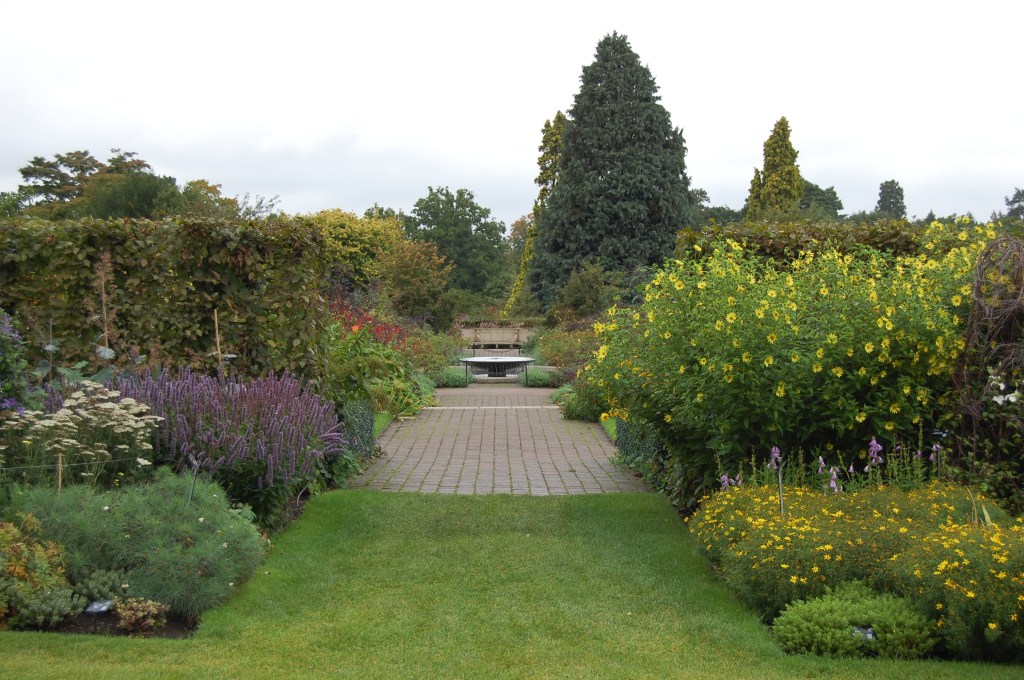 2013-09-13 08.09.53 rhs wisley