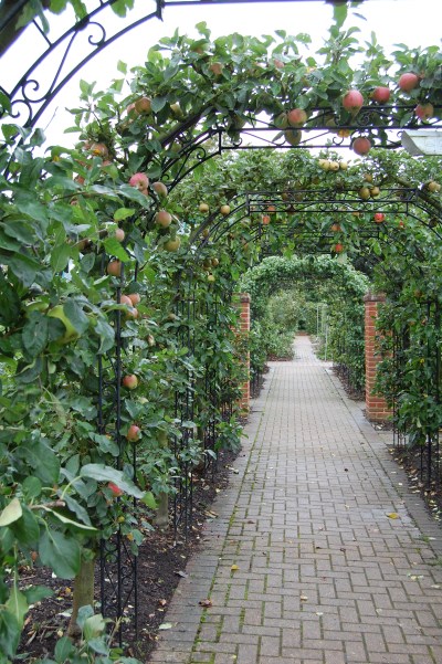 RHS Wisley fruit garden