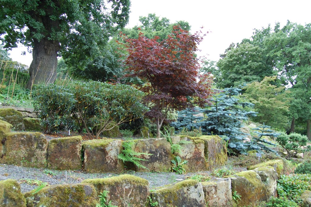 RHS Wisley Rock Garden