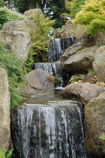 2013-09-13 08.46.36 RHS Wisley rock garden