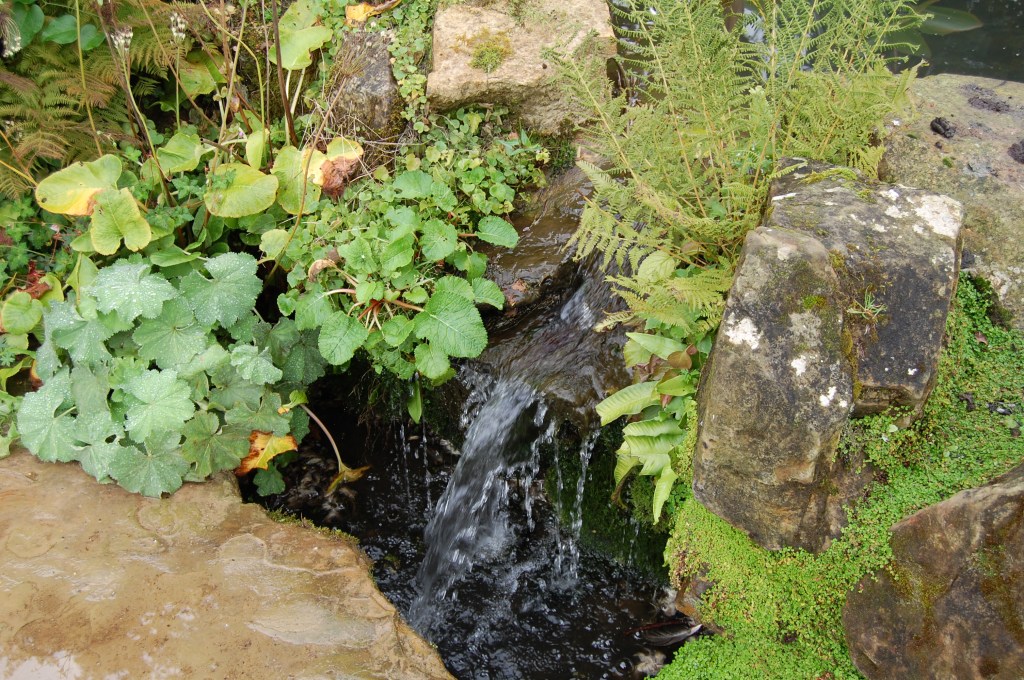 RHS Wisley rock garden