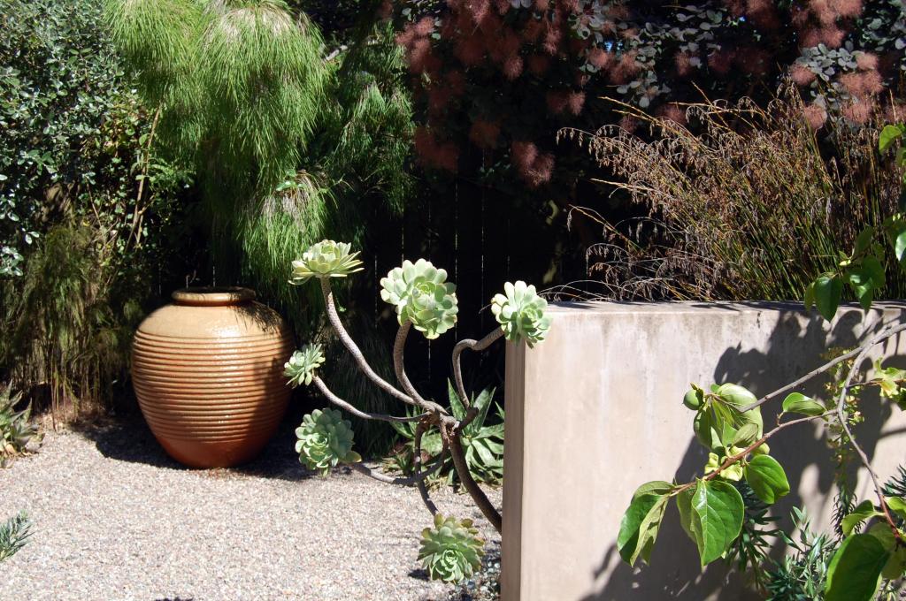 testa vought pot and smokebush