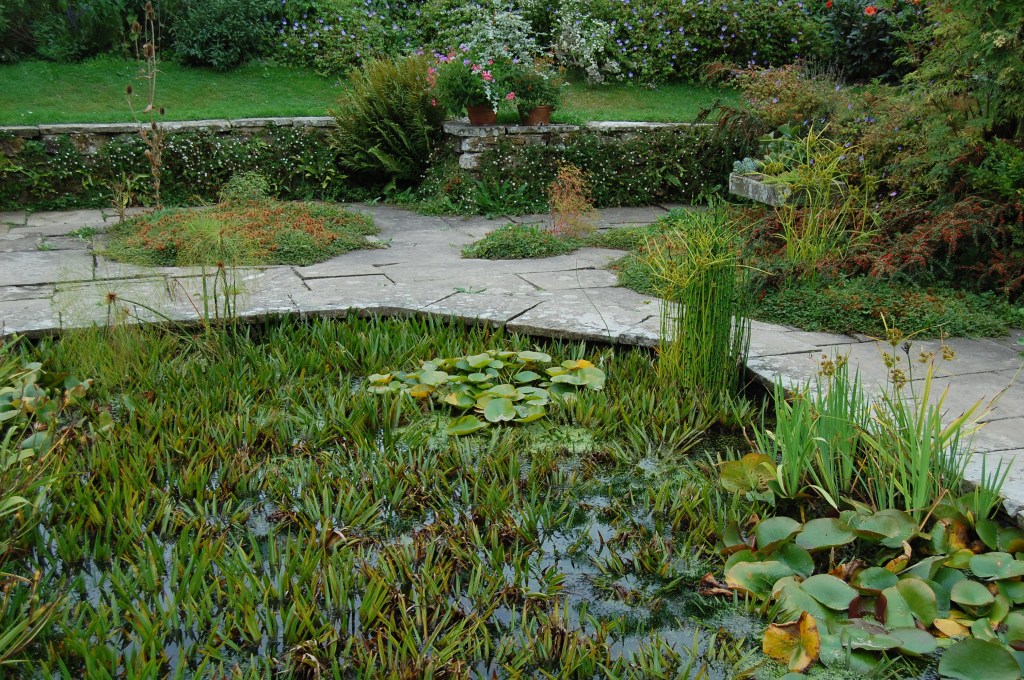 2013-09-14 07.07.36 great dixter sunk garden