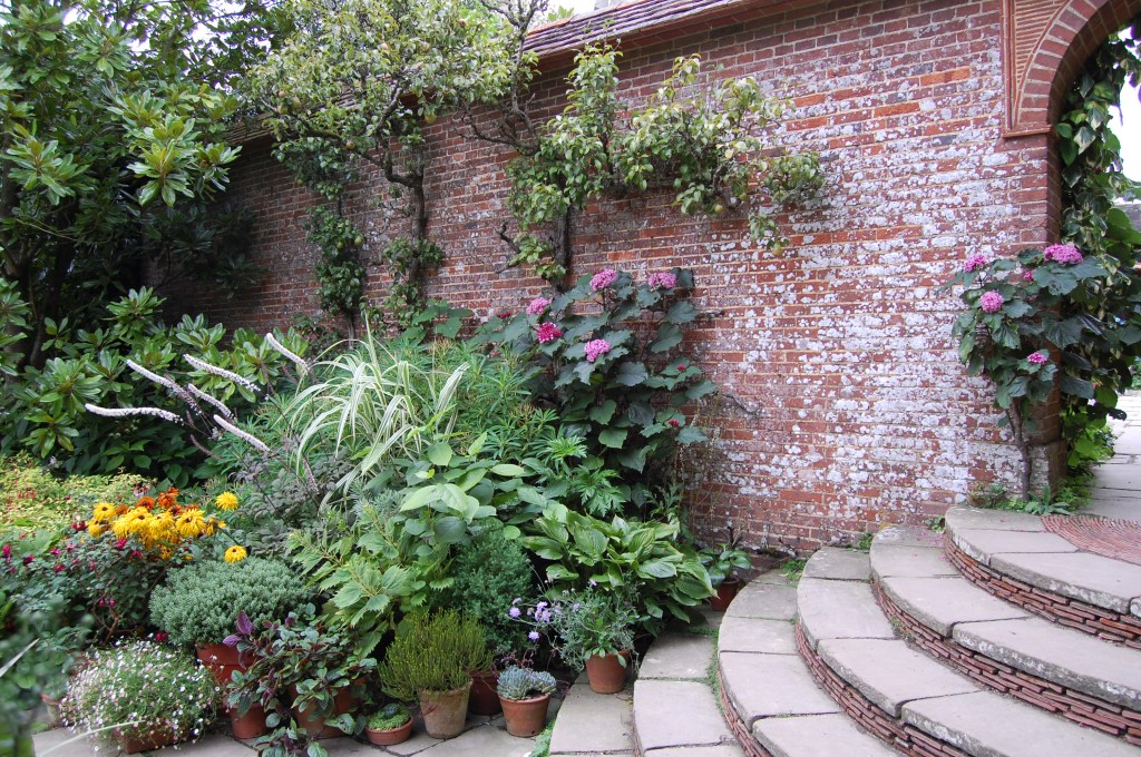 2013-09-14 07.15.45 great dixter blue garden