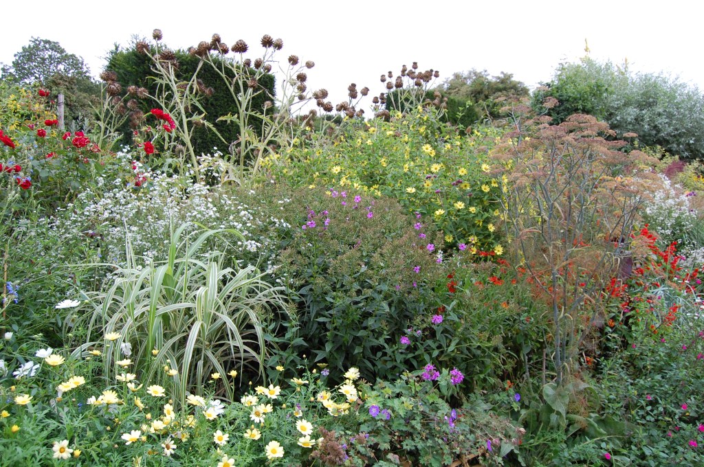 2013-09-14 07.22.20 great dixter long border