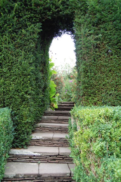 2013-09-14 07.33.36 great dixter yew arch
