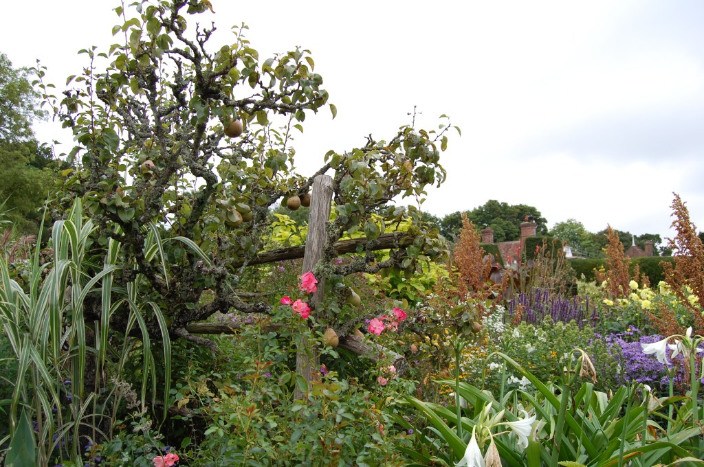 2013-09-14 07.34.10 great dixter