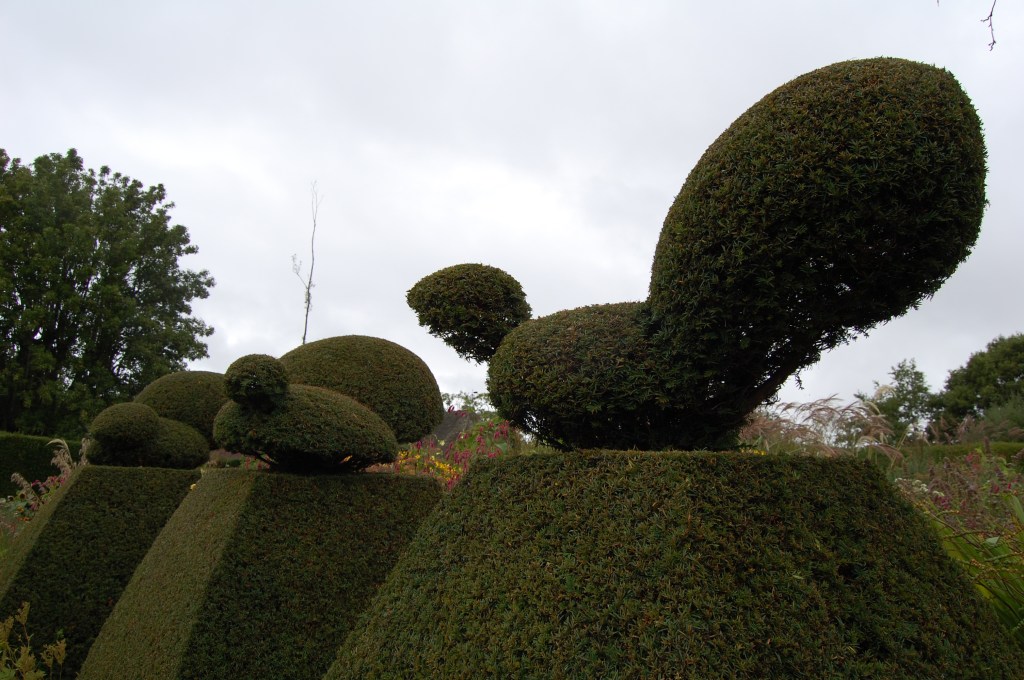Peacocks or turkeys? Or squirrels? We report, you decide.