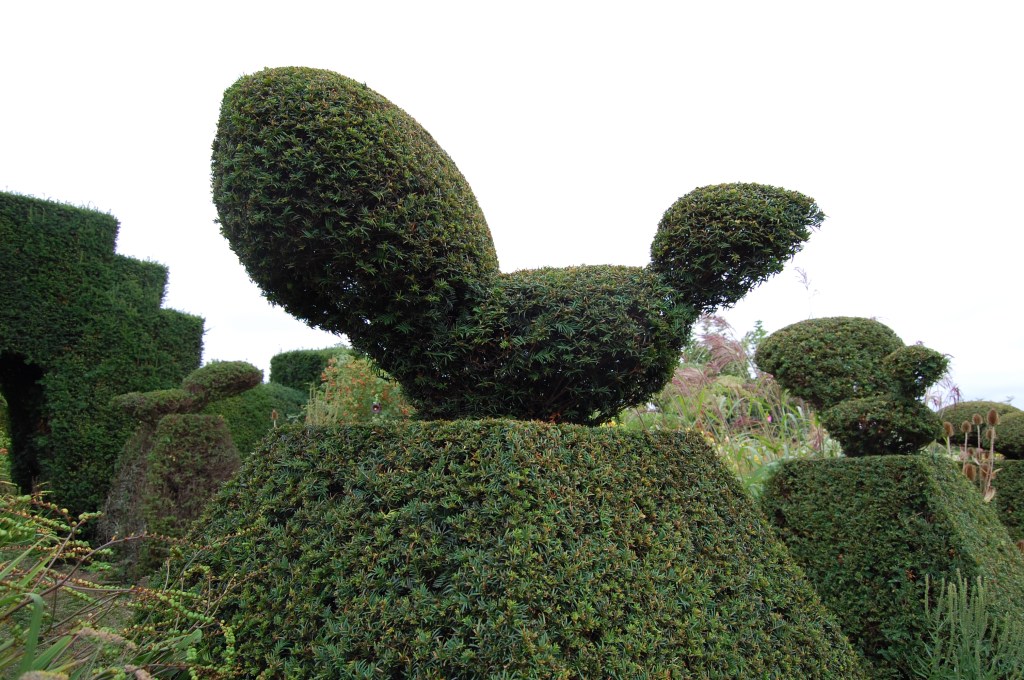 Here's more of a close up.