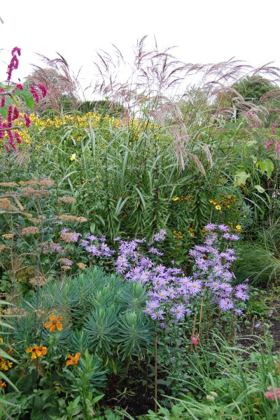 2013-09-14 07.45.52 great dixter, peacock garden