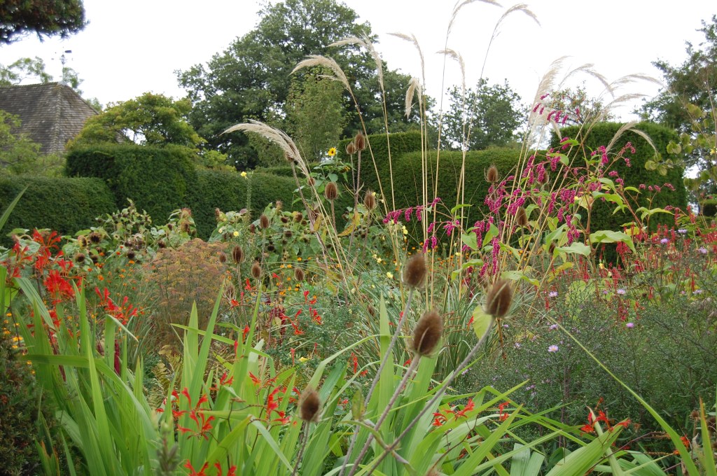 2013-09-14 07.48.34 great dixter, peacock garden
