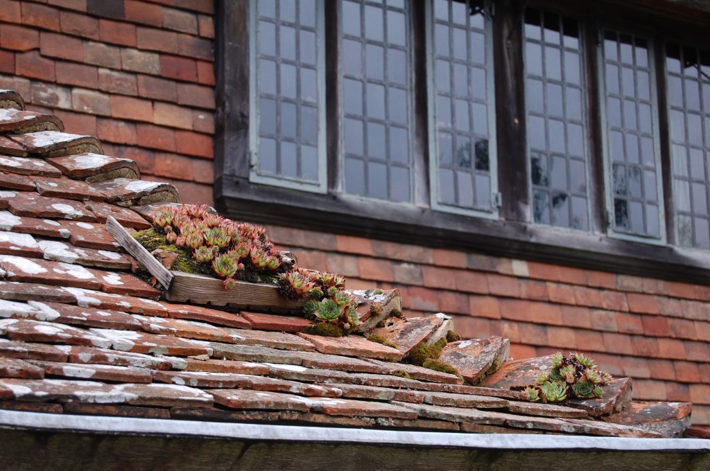 2013-09-14 07.51.47 great dixter
