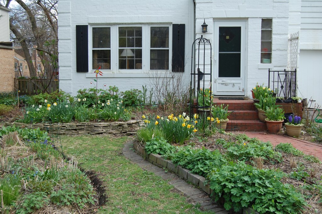View of the front garden, May 3, 2014.