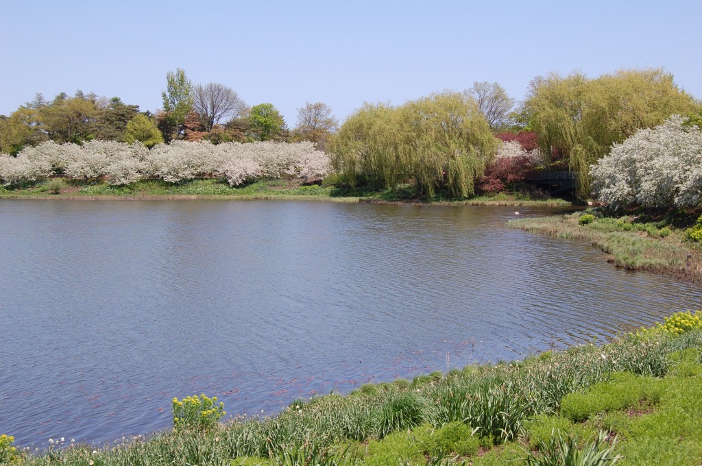 Crabs across the water.