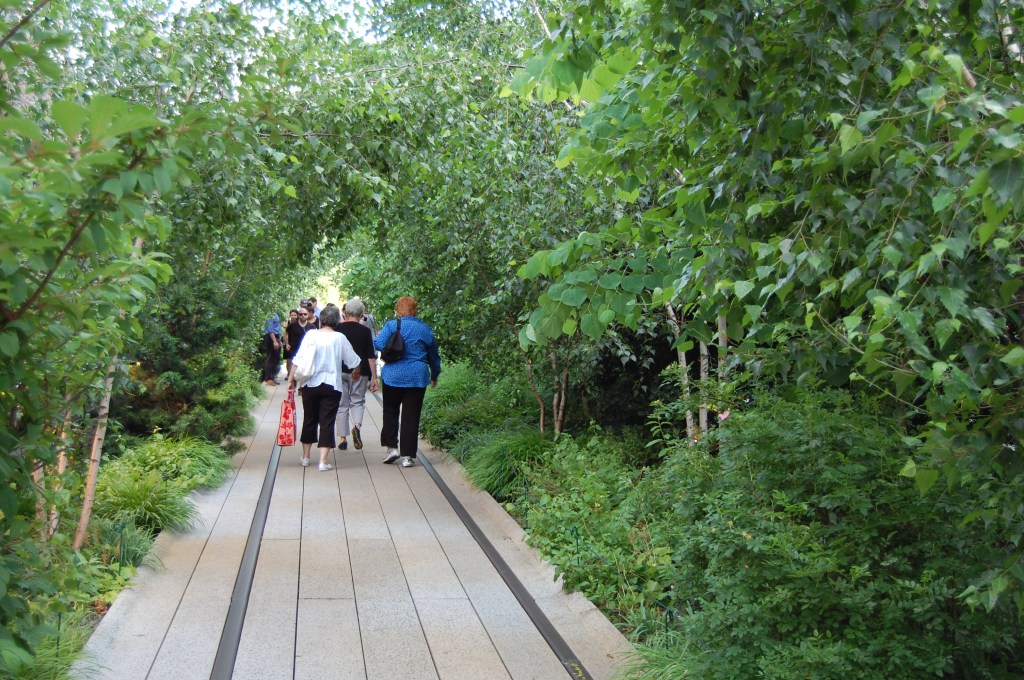 The High Line again. Oudolf relied on a narrative from the architects to pick the plant combinations for each section.