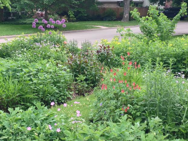 view from front door may 2014