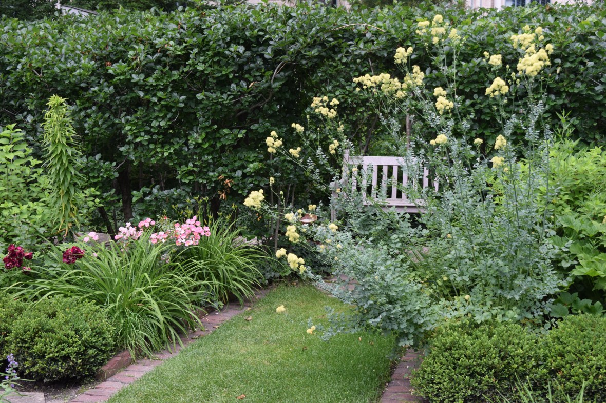 2014-07-06 12.51.45 shakespeare garden