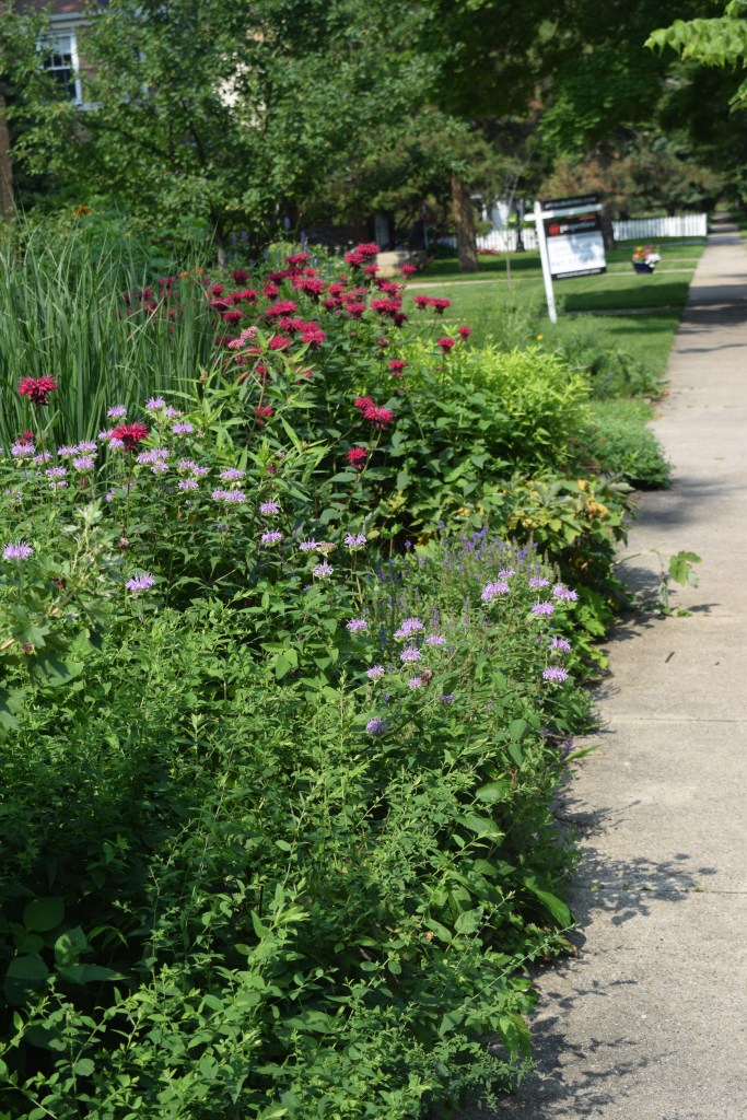 A view of the Sidewalk Border.