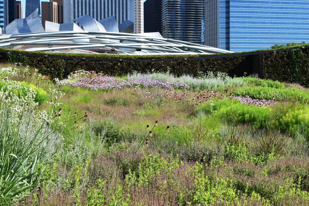 Even without flowers, Lurie offers an enchanting patchwork of colors and textures.