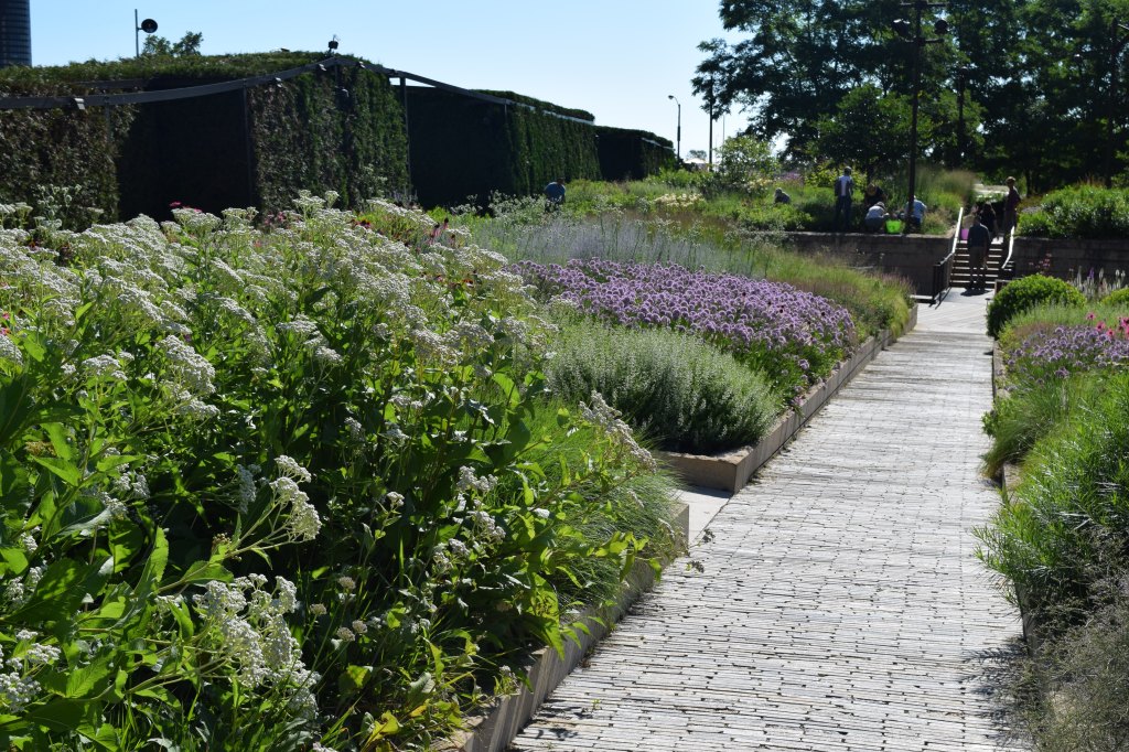 Straight pathways preserve a sense of order. 